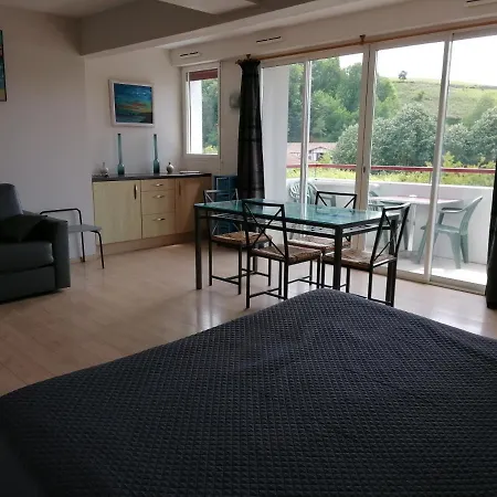 Hotel Bergara Souraide